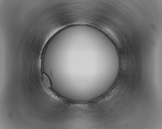 X0000115280900200911131826