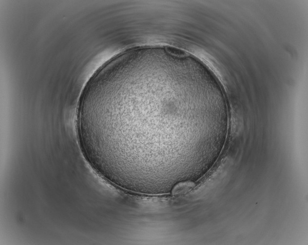 X0000115280901200911131826