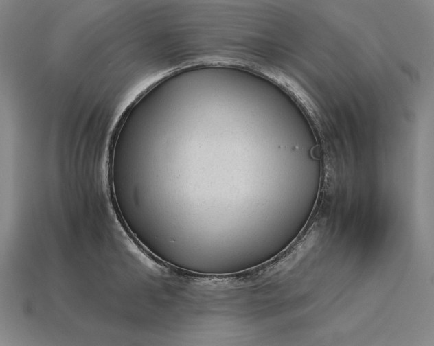 X0000115280902200911131826