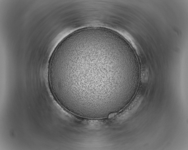 X0000115280903200911131826