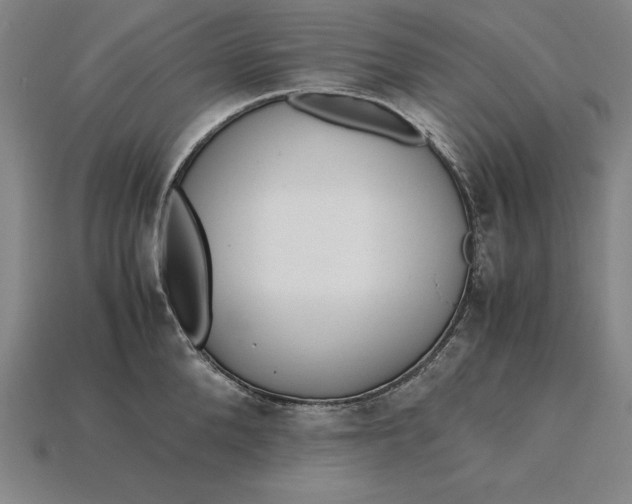 X0000115280904200911131826