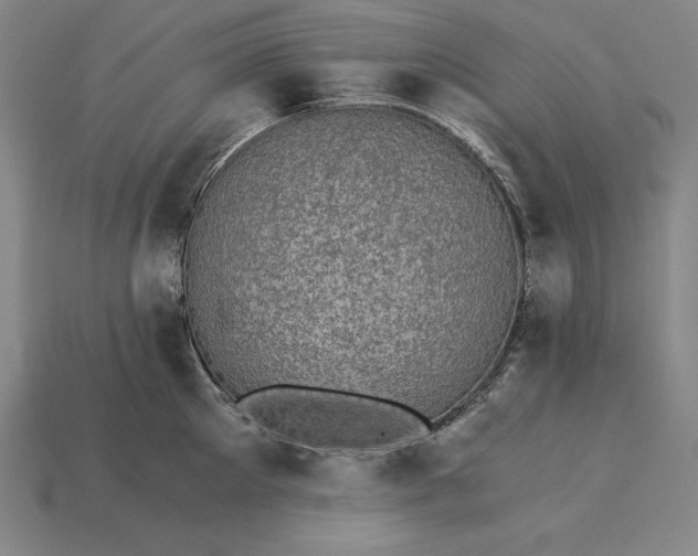 X0000115280905200911131826