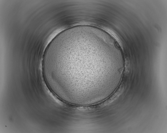 X0000115280906200911131826