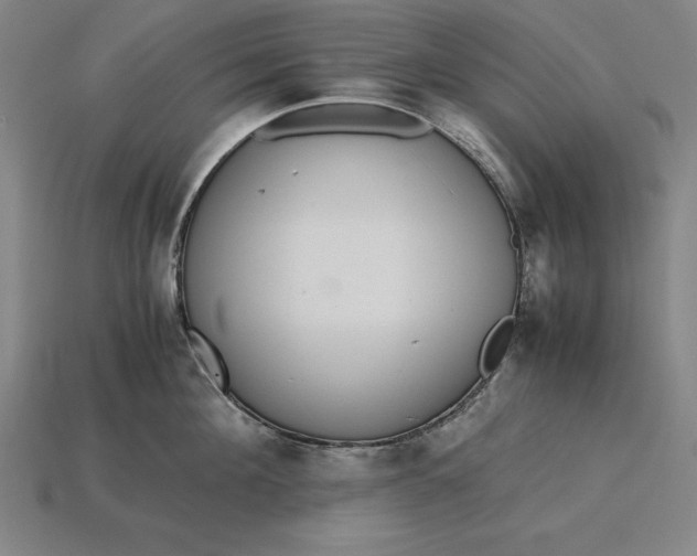 X0000115280908200911131826