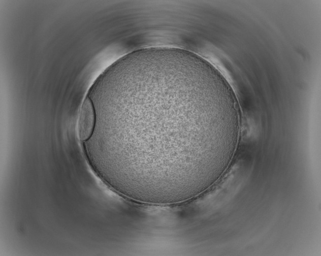 X0000115280909200911131826