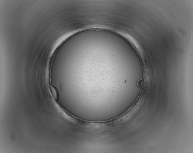 X0000115280910200911131826