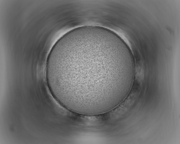 X0000115280911200911131826