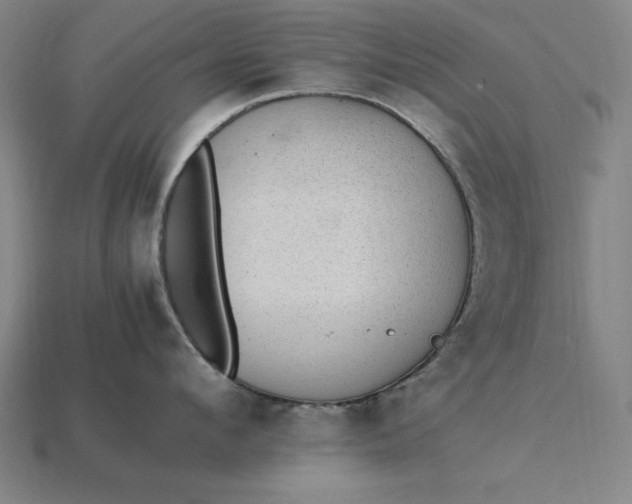 X0000115280912200911131826