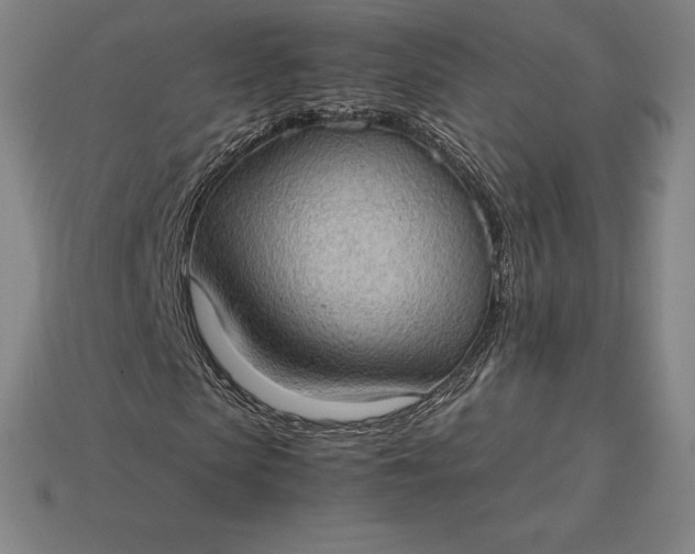 X0000115280913200911131826