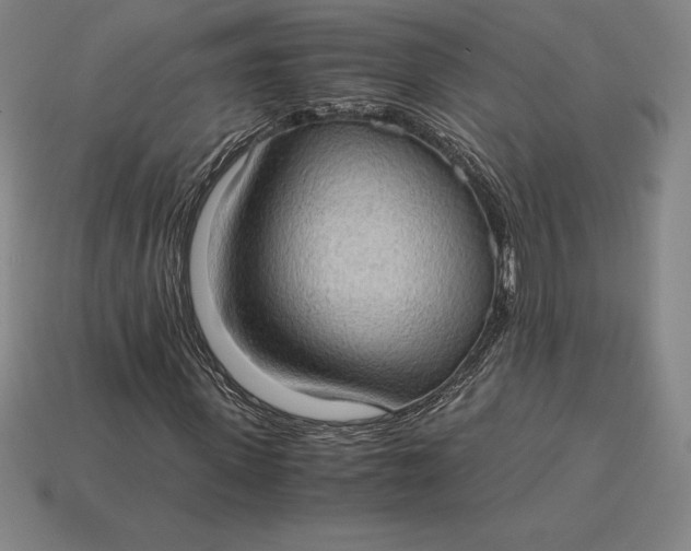 X0000115280915200911131826