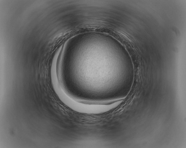 X0000115280917200911131826