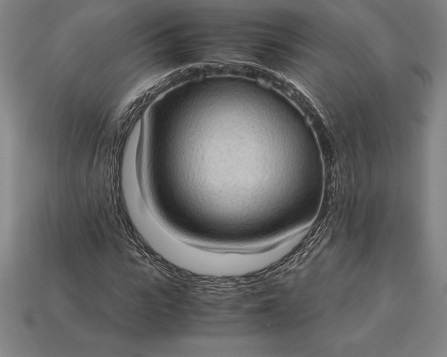 X0000115280919200911131826