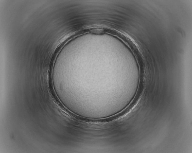 X0000115280921200911131826