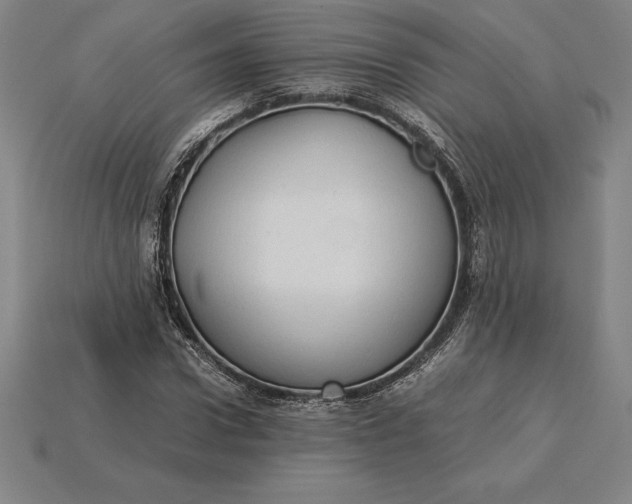 X0000115280922200911131826