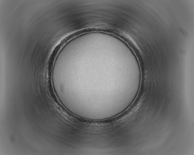 X0000115280923200911131826