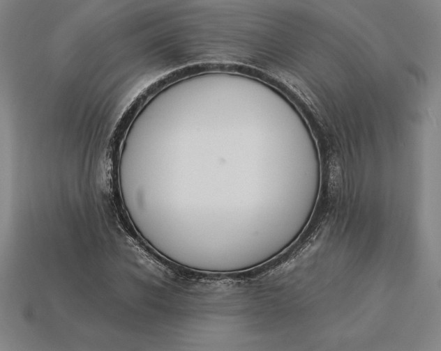 X0000115280926200911131826