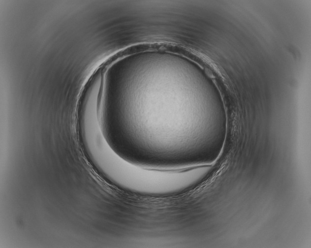 X0000115280927200911131826