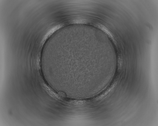 X0000115280930200911131826