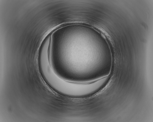 X0000115280933200911131826