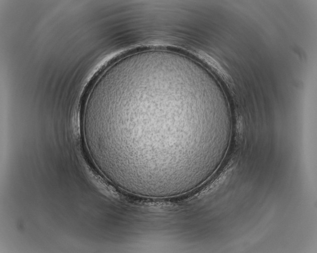 X0000115280934200911131826