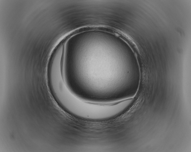 X0000115280935200911131826