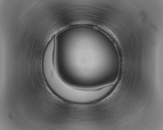 X0000115280937200911131826