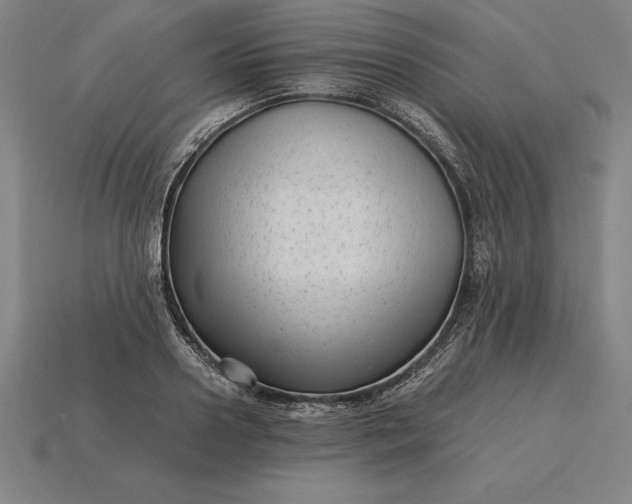 X0000115280938200911131826