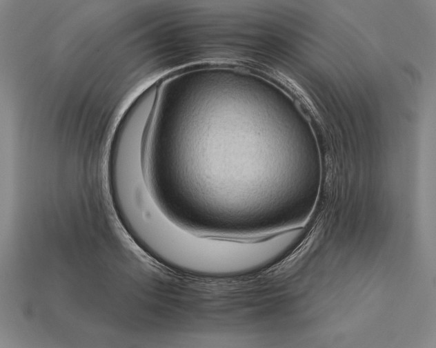 X0000115280939200911131826