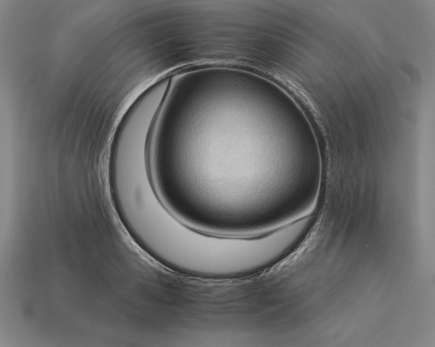 X0000115280941200911131826