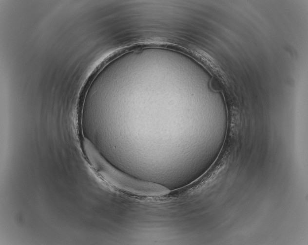 X0000115280942200911131826