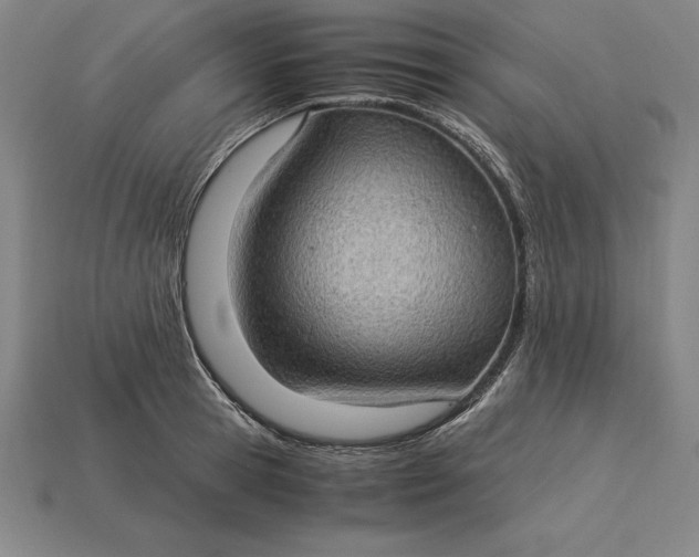 X0000115280945200911131826