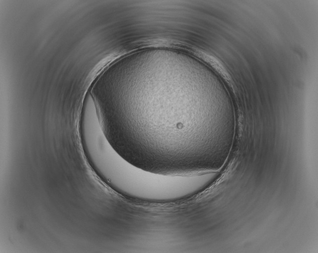 X0000115280946200911131826