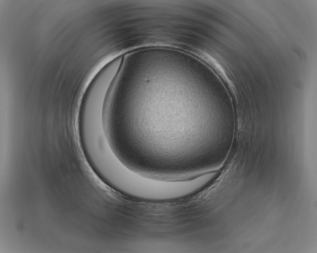 X0000115280947200911131826