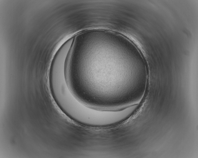 X0000115280949200911131826