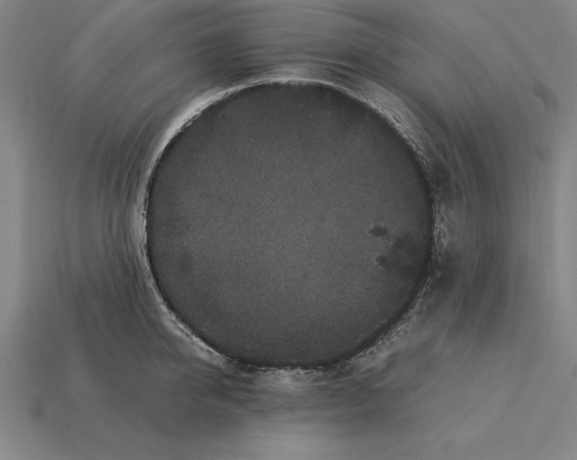 X0000115280950200911131826