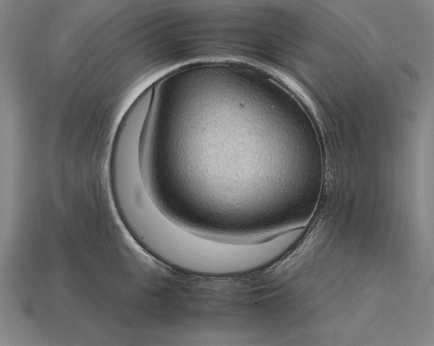 X0000115280951200911131826