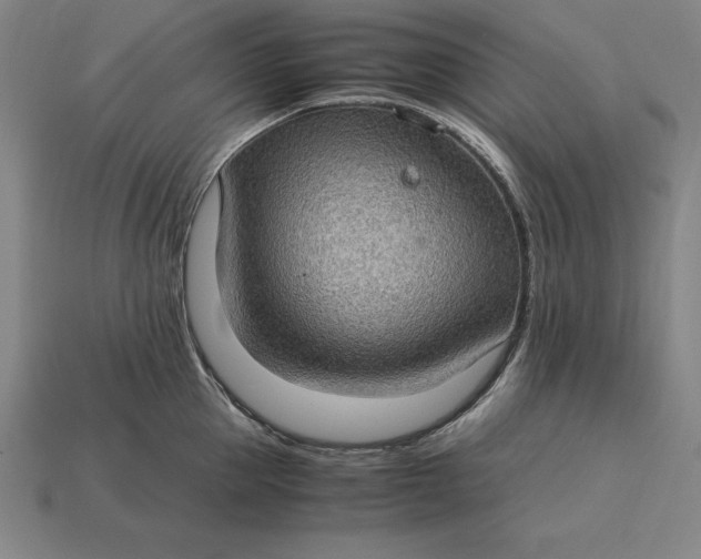 X0000115280953200911131826