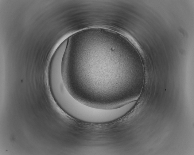 X0000115280955200911131826