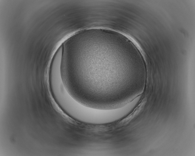 X0000115280957200911131826