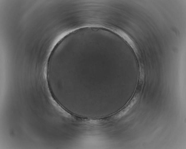 X0000115280958200911131826