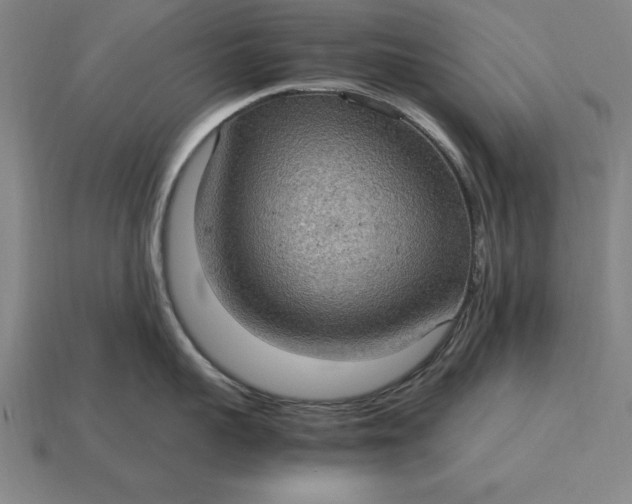 X0000115280959200911131826