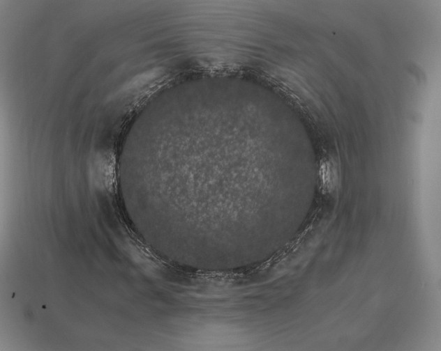 X0000115280963200911131825