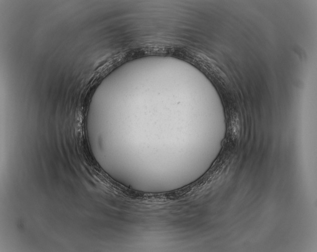 X0000115280964200911131825