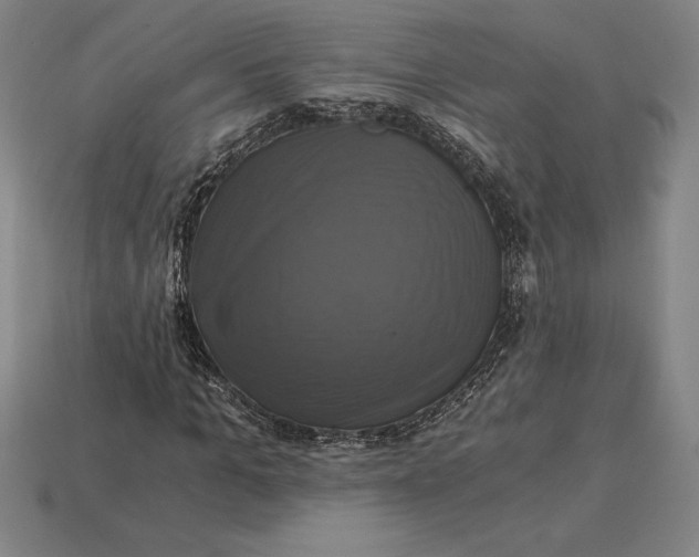 X0000115280965200911131825