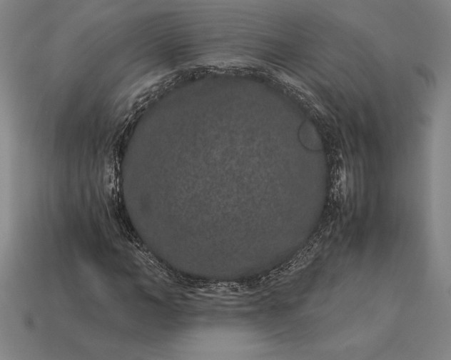 X0000115280966200911131825