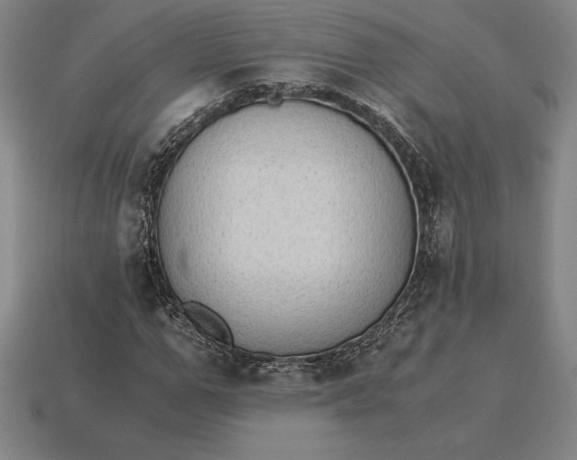 X0000115280967200911131825