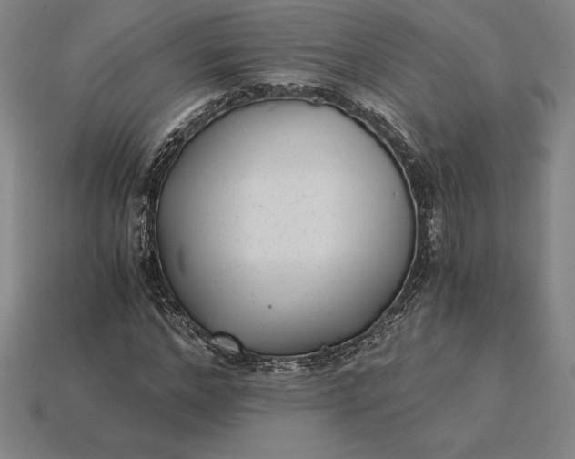 X0000115280968200911131825