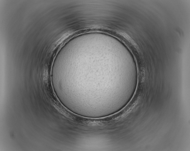 X0000115280969200911131825