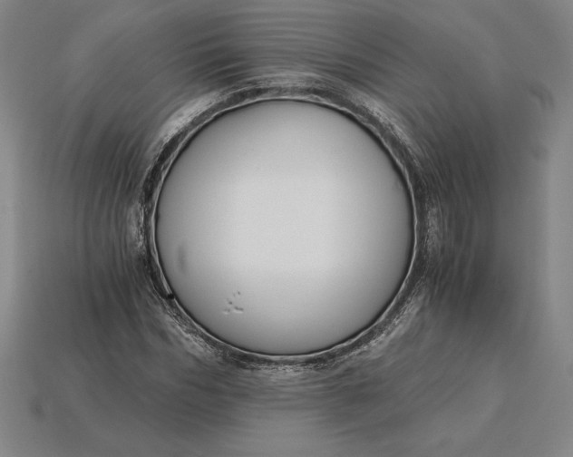 X0000115280970200911131825