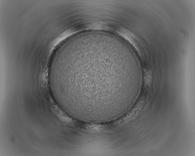 X0000115280971200911131825